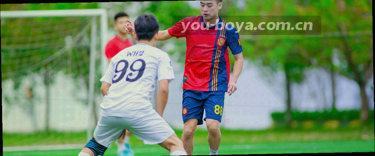多层书架上摆放分类标签，书籍书脊是文档编号